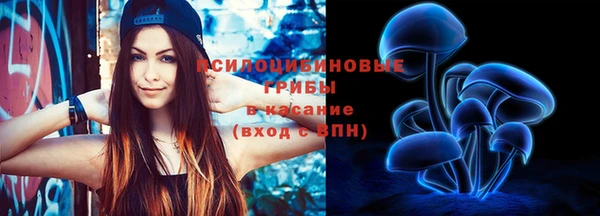 spice Алексеевка