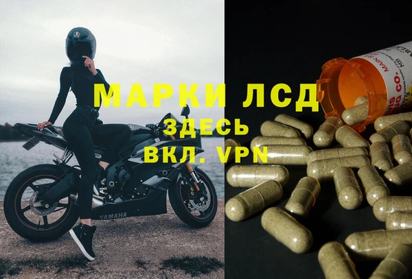 таблы Алзамай