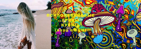 spice Алексеевка